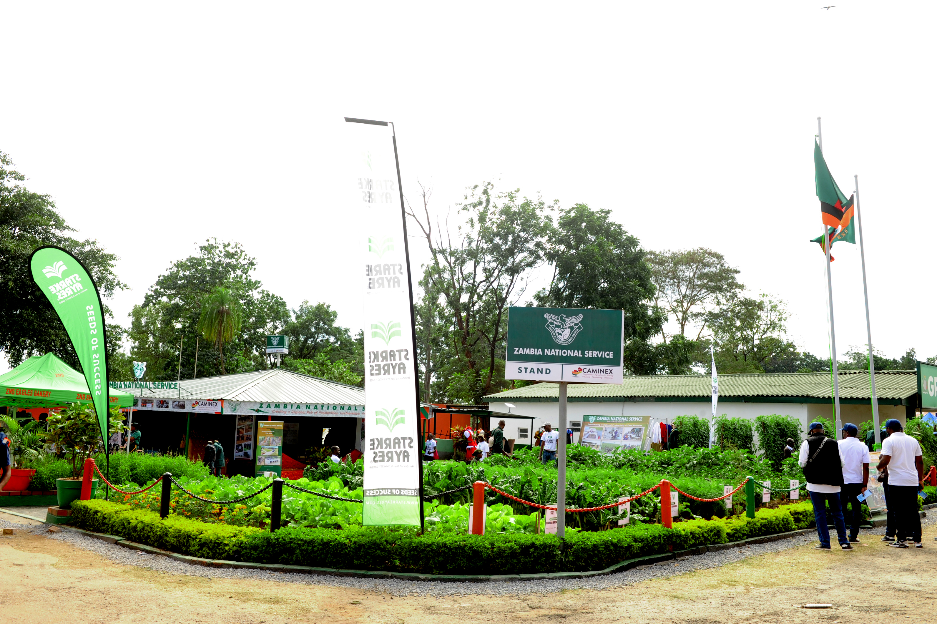 Networking conversation